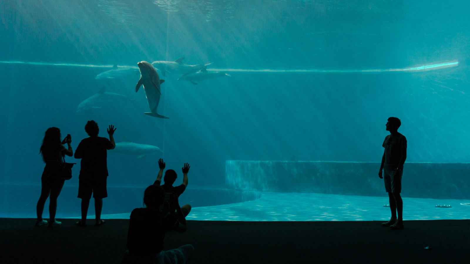 acquario di Genova